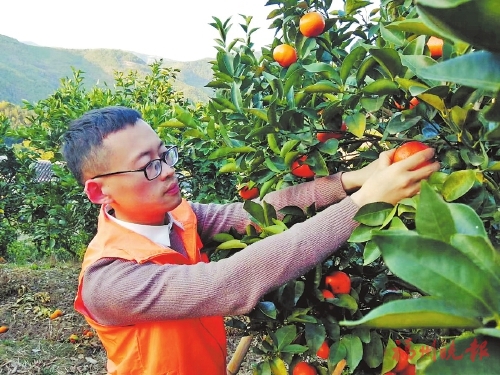 裴锦泽发起成立三农服务超市