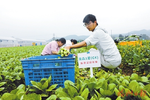 丰富“菜篮子”　打造新业态