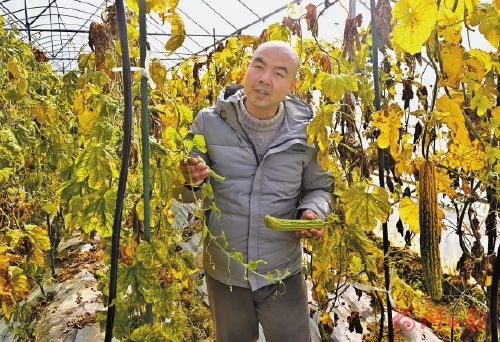 小种子迸发大能量