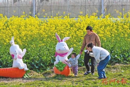 “赏花经济”如何持久绽放？