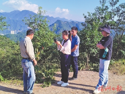 “空中卫士”护青山