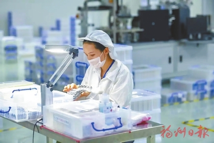 潮起东南千帆竞　十载耕耘万象新