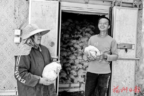 高山村庄“蔬”写致富经
