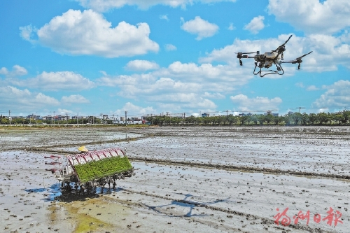AI+农业　路要怎样走？