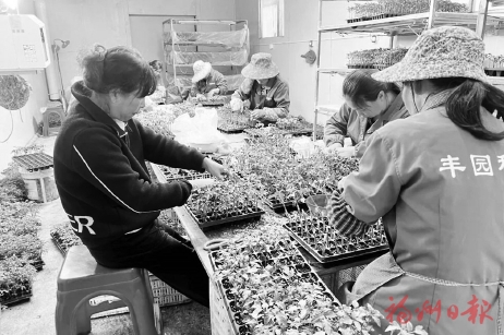 育出好种苗　激活农业“芯”