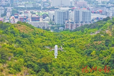 云上巡山　护林有数