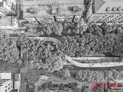 三港路高空景观步道全面动建