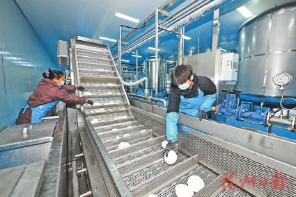 项目纷纷落地　福清有何秘诀