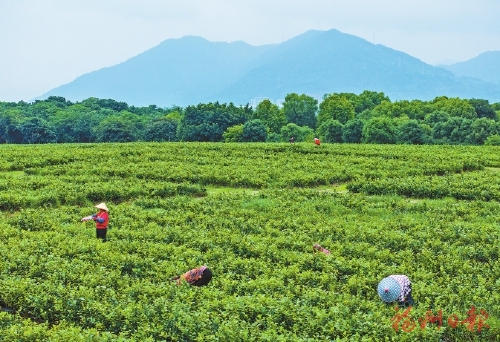 �����조�ݡ�������������