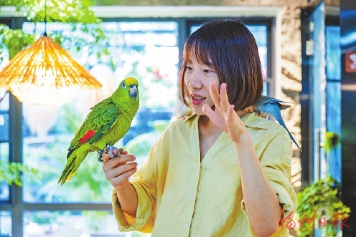 �񿧳�Ϊ�������罻�³���