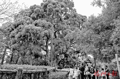 �����е������ÿ����˹�