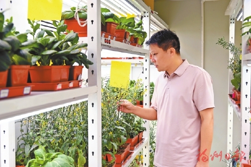 �����๣����������ȫ��