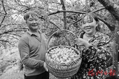 ��̩��÷�������곬7.5���