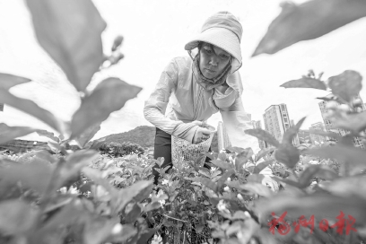 �������ز������������