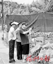 26��ŮѧԱ������������