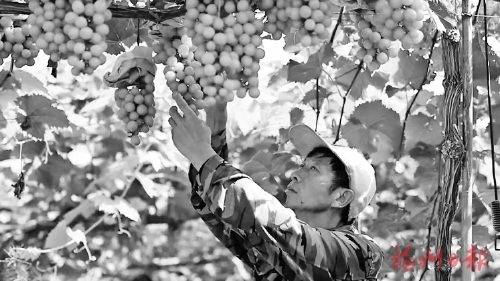 �����塱�������͡������ջ����ۡ�