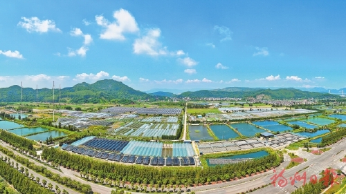 ����ũҵũ�塰���걨����¯