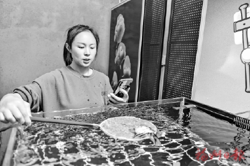 �����������㡰�ʡ�����