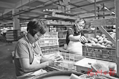 �й��ס��»��ɳ��ڲ����ӿ�