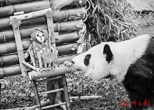 Ī˹�ƶ���԰��ף��