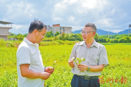 Ҷ���ˣ����ݵ��������ػ���