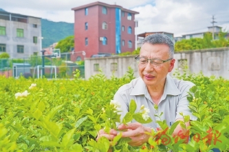 Ҷ���ˣ����ݵ��������ػ���