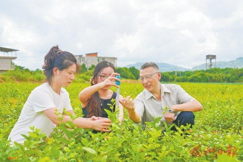 Ҷ���ˣ����ݵ��������ػ���