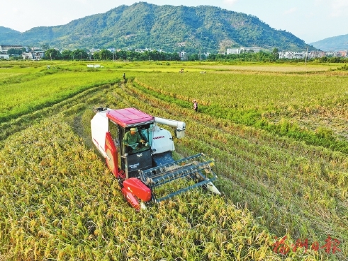 ϲ������ǧ����