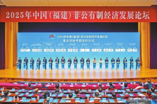 ��֦ͩ��������