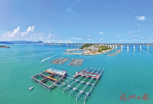 �����������������羢��ӿ������