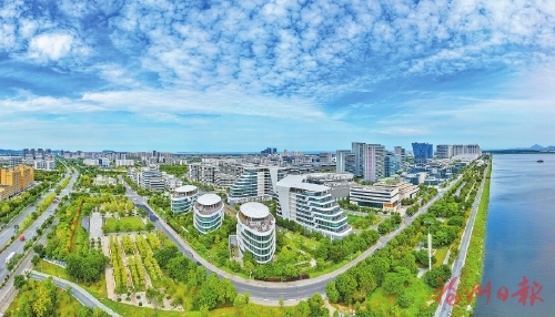 �����������������羢��ӿ������