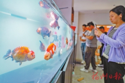 ���㡰���������������