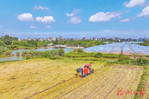 ������ɫ�ִ�ũҵ������̨��