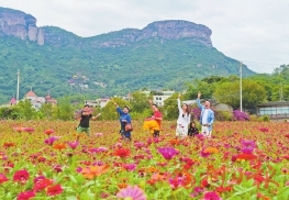 �廢ɽ���߲ʻ�������