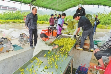 ��˯�ʲ�����������������������