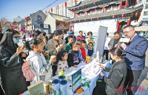 茉莉茶香飘天山 茉莉茶香飘天山