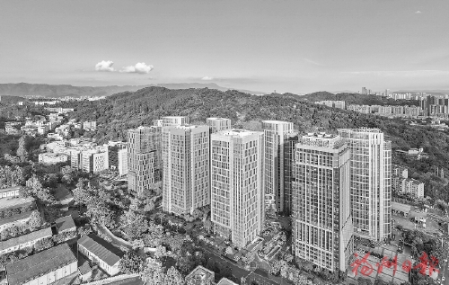 �����������������������չ