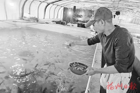 ����Ƥ�㡱�γ��¸������