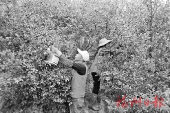 СС�Ͳ������ե�������ҵ