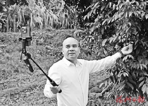 �ѡ���ζ�����������