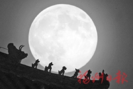 ���ꡰ��ͷ����󡰳�������������