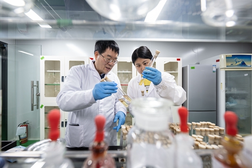 ���ݸ����������³�