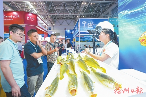 ɽ�����졡Э������