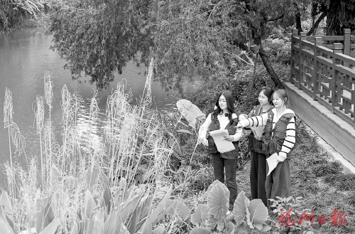 ���⡢�������ʺ�