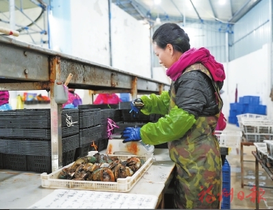 ��������Ӵ󺣡�ֱ�Ρ�ȫ��