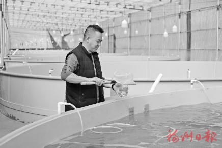 ����������춬�ա���������