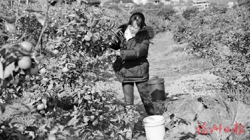 ����������춬�ա���������