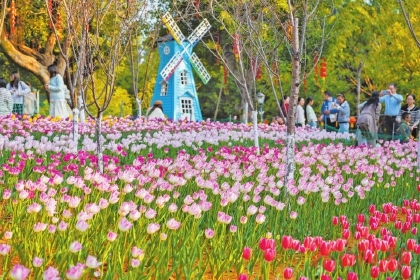 ������ʢ�š����϶�������