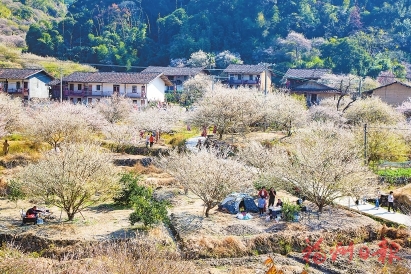 ��̩���조÷���ò�ҵ������