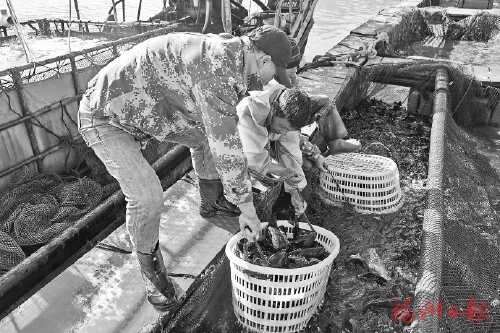 �������ա��껨Ʈ��